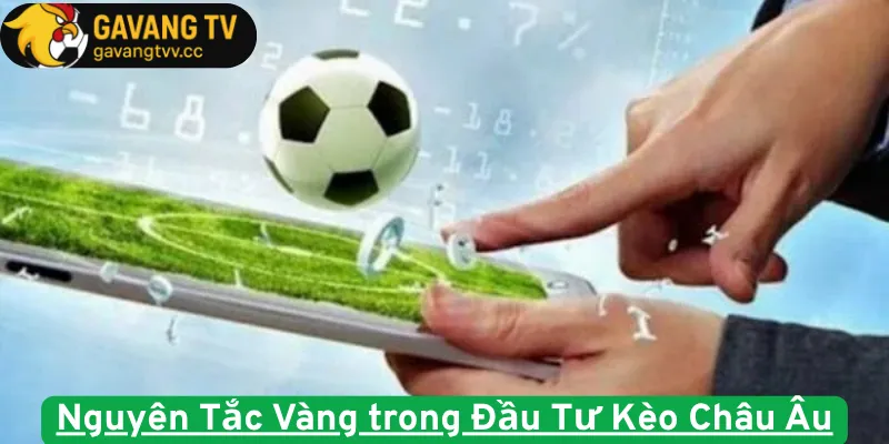 Nguyên Tắc Vàng trong Đầu Tư Kèo 1x2