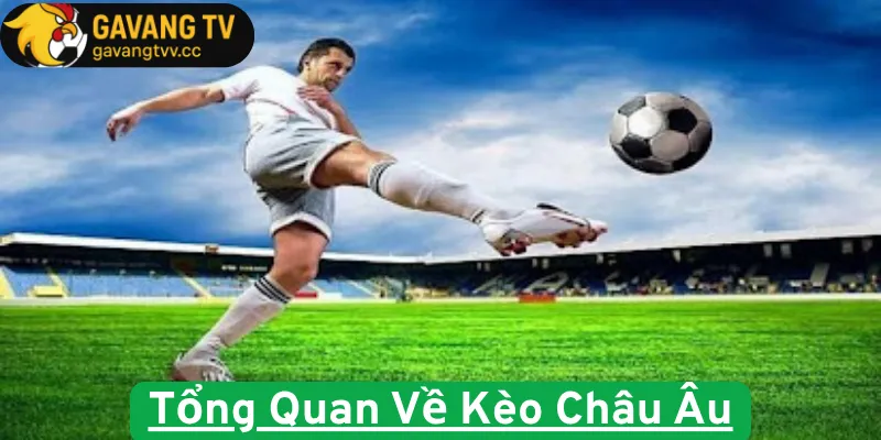 Tổng Quan Về Kèo Châu Âu